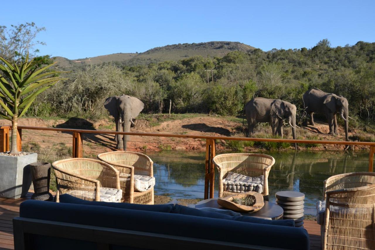 Barefoot Addo Elephant Lodge Kültér fotó